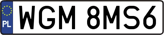 WGM8MS6