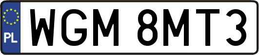 WGM8MT3
