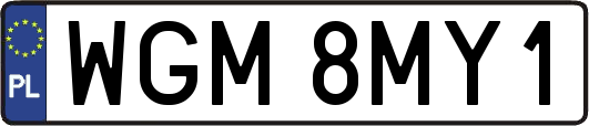 WGM8MY1