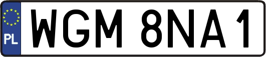 WGM8NA1
