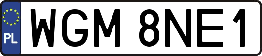 WGM8NE1