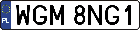 WGM8NG1