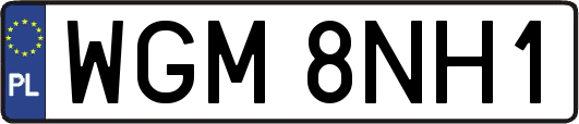 WGM8NH1