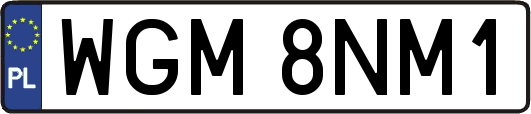WGM8NM1