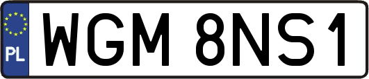 WGM8NS1