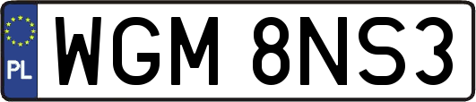 WGM8NS3
