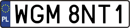 WGM8NT1