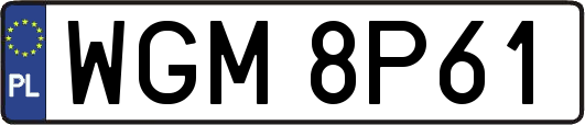 WGM8P61
