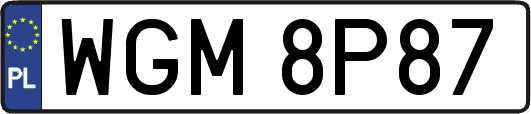 WGM8P87