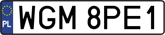 WGM8PE1