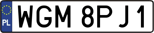 WGM8PJ1