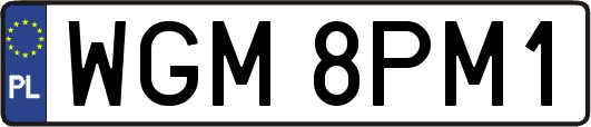 WGM8PM1