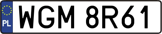 WGM8R61
