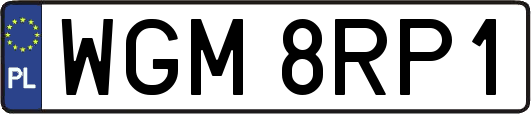 WGM8RP1