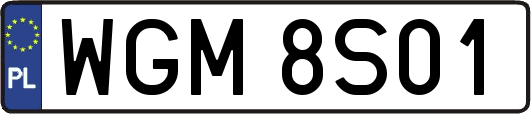 WGM8S01