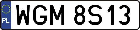 WGM8S13