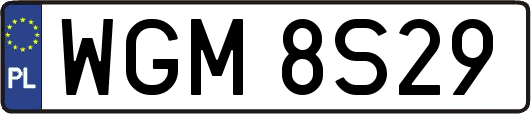 WGM8S29