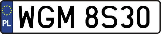 WGM8S30