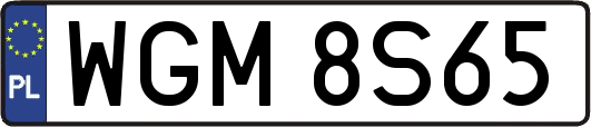 WGM8S65