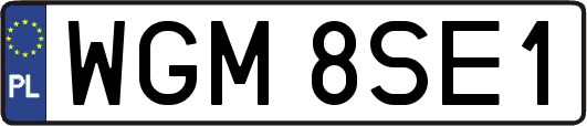 WGM8SE1
