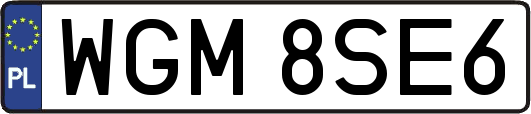 WGM8SE6