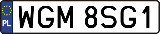 WGM8SG1