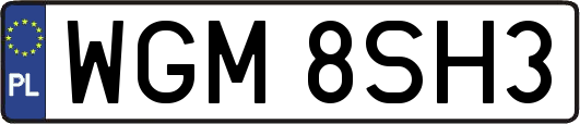 WGM8SH3