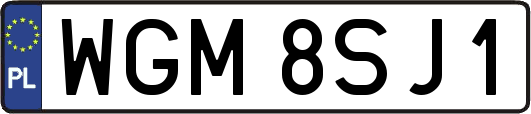 WGM8SJ1