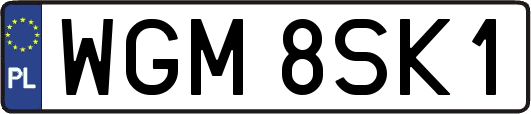 WGM8SK1