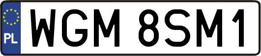 WGM8SM1
