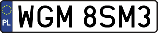 WGM8SM3
