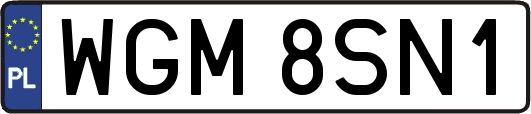 WGM8SN1