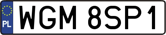 WGM8SP1