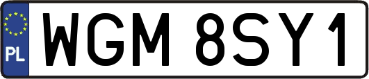 WGM8SY1