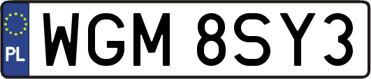 WGM8SY3