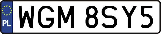 WGM8SY5