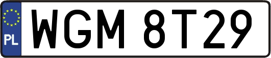WGM8T29