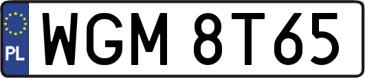 WGM8T65