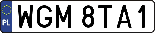 WGM8TA1