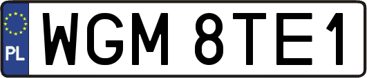 WGM8TE1