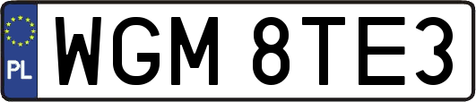 WGM8TE3