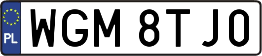 WGM8TJ0