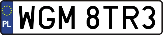 WGM8TR3