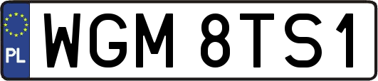 WGM8TS1