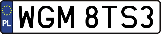 WGM8TS3
