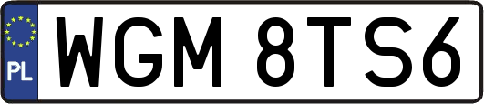 WGM8TS6