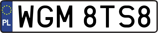 WGM8TS8