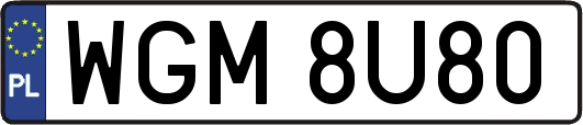 WGM8U80