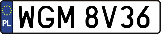 WGM8V36