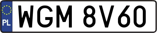 WGM8V60